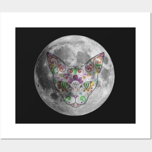 Can you believe they put a cat on the moon? Posters and Art